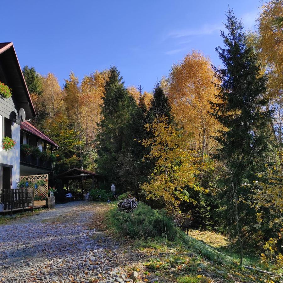 Kocia Gorka Apartment Wisla Exterior photo