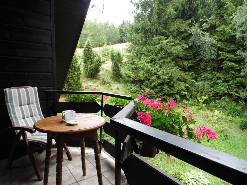Kocia Gorka Apartment Wisla Exterior photo